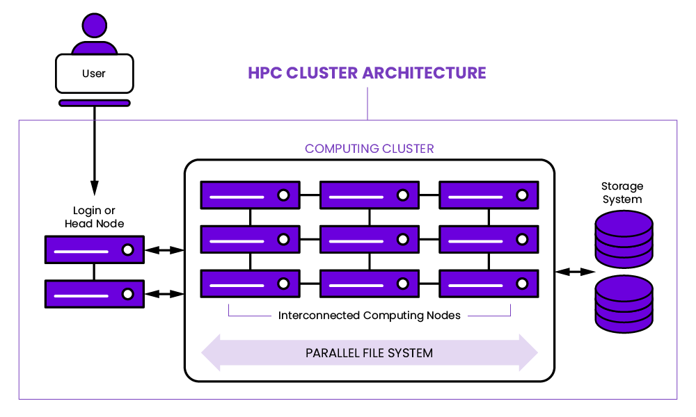 From HPC to AI: Evolution and Performance Evaluation of File Systems ...