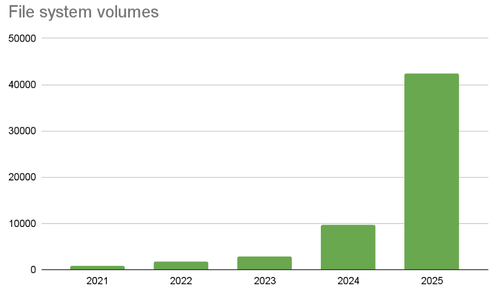 File system volumes